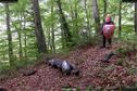 Dateiname=Schlossberg18_049.jpg
Dateigröße=591KB
Abmessungen: 1349x900
hinzugefügt am: 04. August 2018 Schlossberg18_049.jpg