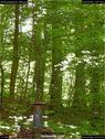 Dateiname=Schlossberg18_058.jpg
Dateigröße=265KB
Abmessungen: 676x900
hinzugefügt am: 04. August 2018 Schlossberg18_058.jpg