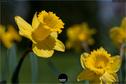 Dateiname=Natur2018_002.jpg
Dateigröße=107KB
Abmessungen: 1349x900
hinzugefügt am: 01. Januar 2019 Natur2018_002.jpg