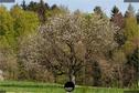 Dateiname=Natur2018_036.jpg
Dateigröße=555KB
Abmessungen: 1354x900
hinzugefügt am: 01. Januar 2019 Natur2018_036.jpg