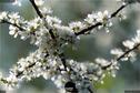 Dateiname=Natur2018_038.jpg
Dateigröße=191KB
Abmessungen: 1354x900
hinzugefügt am: 01. Januar 2019 Natur2018_038.jpg