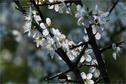 Dateiname=Natur2018_039.jpg
Dateigröße=153KB
Abmessungen: 1354x900
hinzugefügt am: 01. Januar 2019 Natur2018_039.jpg
