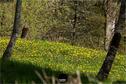 Dateiname=Natur2018_040.jpg
Dateigröße=449KB
Abmessungen: 1354x900
hinzugefügt am: 01. Januar 2019 Natur2018_040.jpg