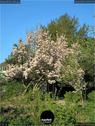 Dateiname=Natur2018_046.jpg
Dateigröße=251KB
Abmessungen: 676x900
hinzugefügt am: 01. Januar 2019 Natur2018_046.jpg