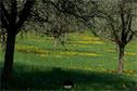 Dateiname=Natur2018_051.jpg
Dateigröße=441KB
Abmessungen: 1349x900
hinzugefügt am: 01. Januar 2019 Natur2018_051.jpg