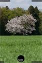 Dateiname=Natur2018_078.jpg
Dateigröße=142KB
Abmessungen: 598x900
hinzugefügt am: 01. Januar 2019 Natur2018_078.jpg