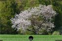 Dateiname=Natur2018_079.jpg
Dateigröße=513KB
Abmessungen: 1354x900
hinzugefügt am: 01. Januar 2019 Natur2018_079.jpg