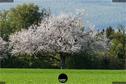 Dateiname=Natur2018_085.jpg
Dateigröße=492KB
Abmessungen: 1354x900
hinzugefügt am: 01. Januar 2019 Natur2018_085.jpg