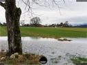 Dateiname=Aarwangen_2018_056.jpg
Dateigröße=300KB
Abmessungen: 1199x900
hinzugefügt am: 23. Dezember 2018 Aarwangen_2018_056.jpg