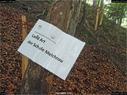 Dateiname=LandArt_1_001.jpg
Dateigröße=314KB
Abmessungen: 1199x900
hinzugefügt am: 15. Juni 2018 LandArt_1_001.jpg