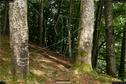 Dateiname=LandArt_1_034.jpg
Dateigröße=473KB
Abmessungen: 1354x900
hinzugefügt am: 15. Juni 2018 LandArt_1_034.jpg