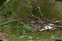 Dateiname=LandArt_1_038.jpg
Dateigröße=288KB
Abmessungen: 1354x900
hinzugefügt am: 15. Juni 2018 LandArt_1_038.jpg