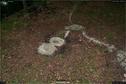 Dateiname=LandArt_1_041.jpg
Dateigröße=397KB
Abmessungen: 1354x900
hinzugefügt am: 15. Juni 2018 LandArt_1_041.jpg