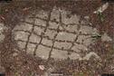 Dateiname=LandArt_1_042.jpg
Dateigröße=448KB
Abmessungen: 1354x900
hinzugefügt am: 15. Juni 2018 LandArt_1_042.jpg
