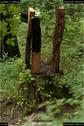 Dateiname=LandArt_1_046.jpg
Dateigröße=162KB
Abmessungen: 598x900
hinzugefügt am: 15. Juni 2018 LandArt_1_046.jpg