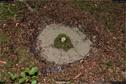 Dateiname=LandArt_1_047.jpg
Dateigröße=423KB
Abmessungen: 1354x900
hinzugefügt am: 15. Juni 2018 LandArt_1_047.jpg