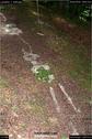 Dateiname=LandArt_1_048.jpg
Dateigröße=216KB
Abmessungen: 598x900
hinzugefügt am: 15. Juni 2018 LandArt_1_048.jpg