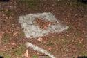 Dateiname=LandArt_1_052.jpg
Dateigröße=488KB
Abmessungen: 1354x900
hinzugefügt am: 15. Juni 2018 LandArt_1_052.jpg