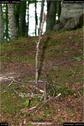 Dateiname=LandArt_1_053.jpg
Dateigröße=173KB
Abmessungen: 598x900
hinzugefügt am: 15. Juni 2018 LandArt_1_053.jpg