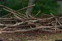 Dateiname=LandArt_1_054.jpg
Dateigröße=255KB
Abmessungen: 1354x900
hinzugefügt am: 15. Juni 2018 LandArt_1_054.jpg