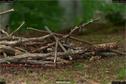 Dateiname=LandArt_1_055.jpg
Dateigröße=242KB
Abmessungen: 1354x900
hinzugefügt am: 15. Juni 2018 LandArt_1_055.jpg
