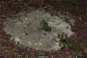 Dateiname=LandArt_1_057.jpg
Dateigröße=363KB
Abmessungen: 1354x900
hinzugefügt am: 15. Juni 2018 LandArt_1_057.jpg