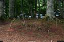 Dateiname=LandArt_1_058.jpg
Dateigröße=387KB
Abmessungen: 1354x900
hinzugefügt am: 15. Juni 2018 LandArt_1_058.jpg
