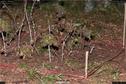 Dateiname=LandArt_1_061.jpg
Dateigröße=367KB
Abmessungen: 1354x900
hinzugefügt am: 15. Juni 2018 LandArt_1_061.jpg