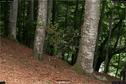 Dateiname=LandArt_1_063.jpg
Dateigröße=418KB
Abmessungen: 1354x900
hinzugefügt am: 15. Juni 2018 LandArt_1_063.jpg