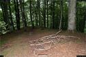 Dateiname=LandArt_1_065.jpg
Dateigröße=474KB
Abmessungen: 1354x900
hinzugefügt am: 15. Juni 2018 LandArt_1_065.jpg