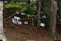 Dateiname=LandArt_1_067.jpg
Dateigröße=349KB
Abmessungen: 1354x900
hinzugefügt am: 15. Juni 2018 LandArt_1_067.jpg