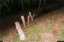 Dateiname=LandArt_1_069.jpg
Dateigröße=387KB
Abmessungen: 1354x900
hinzugefügt am: 15. Juni 2018 LandArt_1_069.jpg
