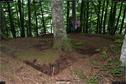 Dateiname=LandArt_1_072.jpg
Dateigröße=469KB
Abmessungen: 1354x900
hinzugefügt am: 15. Juni 2018 LandArt_1_072.jpg