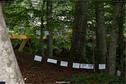 Dateiname=LandArt_1_074.jpg
Dateigröße=351KB
Abmessungen: 1354x900
hinzugefügt am: 15. Juni 2018 LandArt_1_074.jpg