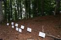 Dateiname=LandArt_1_075.jpg
Dateigröße=408KB
Abmessungen: 1354x900
hinzugefügt am: 15. Juni 2018 LandArt_1_075.jpg