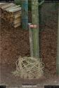 Dateiname=LandArt_1_084.jpg
Dateigröße=180KB
Abmessungen: 598x900
hinzugefügt am: 15. Juni 2018 LandArt_1_084.jpg