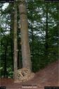 Dateiname=LandArt_1_086.jpg
Dateigröße=216KB
Abmessungen: 598x900
hinzugefügt am: 15. Juni 2018 LandArt_1_086.jpg