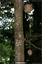 Dateiname=LandArt_1_087.jpg
Dateigröße=134KB
Abmessungen: 598x900
hinzugefügt am: 15. Juni 2018 LandArt_1_087.jpg