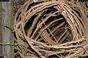Dateiname=LandArt_1_088.jpg
Dateigröße=290KB
Abmessungen: 1354x900
hinzugefügt am: 15. Juni 2018 LandArt_1_088.jpg