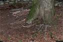 Dateiname=LandArt_1_090.jpg
Dateigröße=449KB
Abmessungen: 1354x900
hinzugefügt am: 15. Juni 2018 LandArt_1_090.jpg