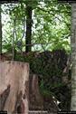 Dateiname=LandArt_1_096.jpg
Dateigröße=173KB
Abmessungen: 598x900
hinzugefügt am: 15. Juni 2018 LandArt_1_096.jpg