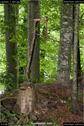 Dateiname=LandArt_1_097.jpg
Dateigröße=196KB
Abmessungen: 598x900
hinzugefügt am: 15. Juni 2018 LandArt_1_097.jpg