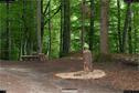 Dateiname=LandArt_1_098.jpg
Dateigröße=452KB
Abmessungen: 1354x900
hinzugefügt am: 15. Juni 2018 LandArt_1_098.jpg