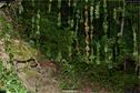 Dateiname=LandArt_1_112.jpg
Dateigröße=336KB
Abmessungen: 1354x900
hinzugefügt am: 15. Juni 2018 LandArt_1_112.jpg