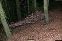 Dateiname=LandArt_1_113.jpg
Dateigröße=444KB
Abmessungen: 1354x900
hinzugefügt am: 15. Juni 2018 LandArt_1_113.jpg
