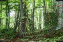 Dateiname=LandArt_2_06.jpg
Dateigröße=415KB
Abmessungen: 1348x900
hinzugefügt am: 15. Juni 2018 LandArt_2_06.jpg