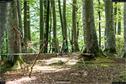 Dateiname=LandArt_2_07.jpg
Dateigröße=361KB
Abmessungen: 1348x900
hinzugefügt am: 15. Juni 2018 LandArt_2_07.jpg