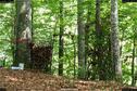 Dateiname=LandArt_2_08.jpg
Dateigröße=422KB
Abmessungen: 1348x900
hinzugefügt am: 15. Juni 2018 LandArt_2_08.jpg