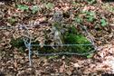 Dateiname=LandArt_2_11.jpg
Dateigröße=382KB
Abmessungen: 1348x900
hinzugefügt am: 15. Juni 2018 LandArt_2_11.jpg