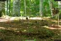 Dateiname=LandArt_2_13.jpg
Dateigröße=270KB
Abmessungen: 1348x900
hinzugefügt am: 15. Juni 2018 LandArt_2_13.jpg